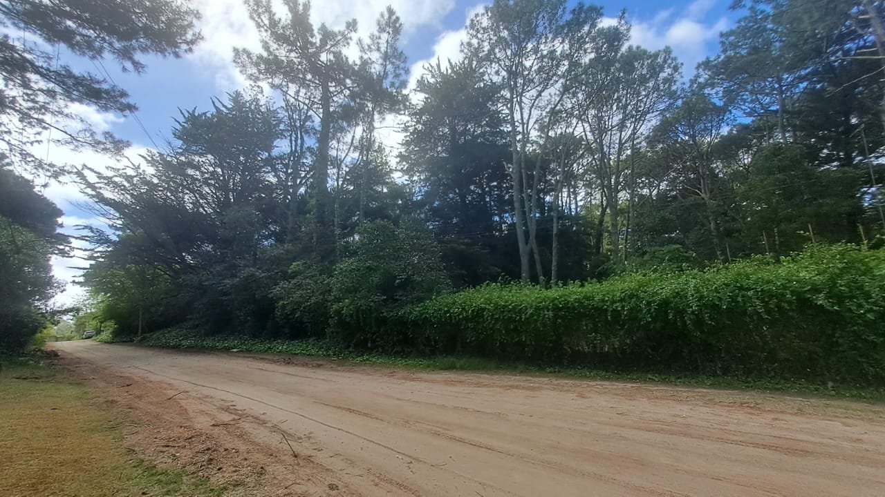 29 de 29