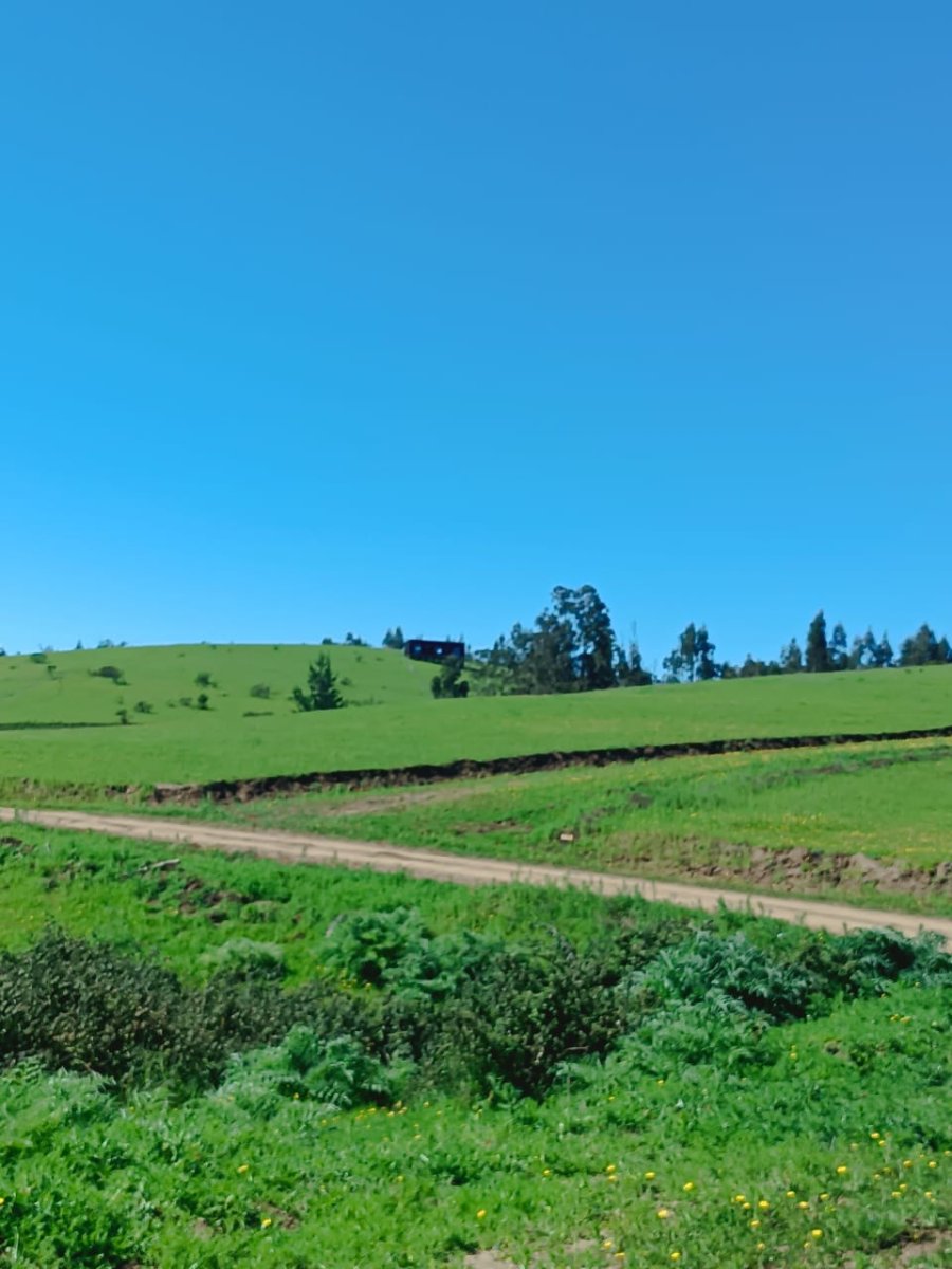 Venta Terreno Vichuquén - Maule
