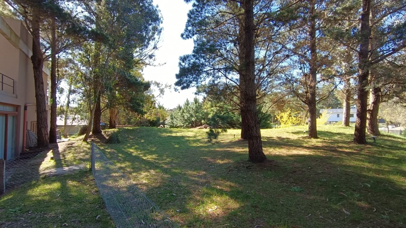 51 de 51