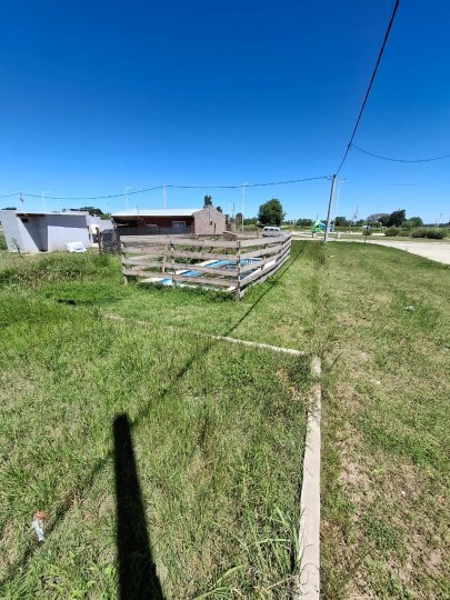 Terrenos - Alvear - Venta