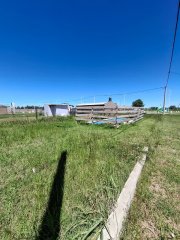 Terrenos - Alvear - Venta