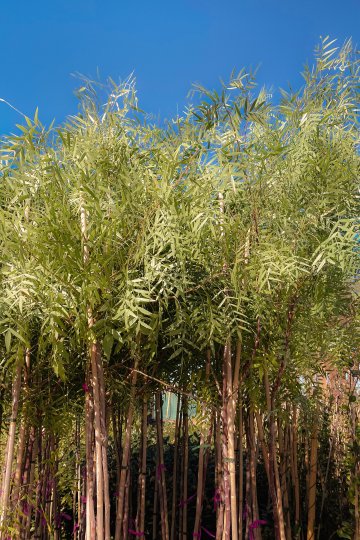 Terrenos - Funes - Venta
