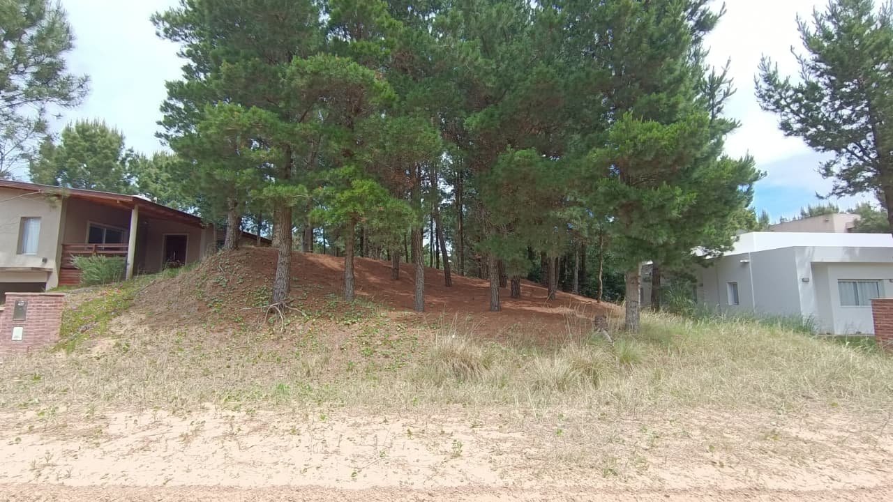 1 de 10