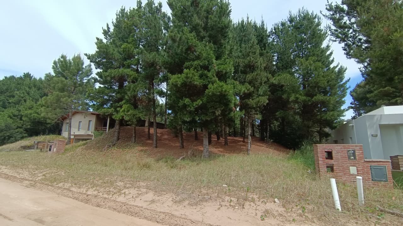 2 de 10