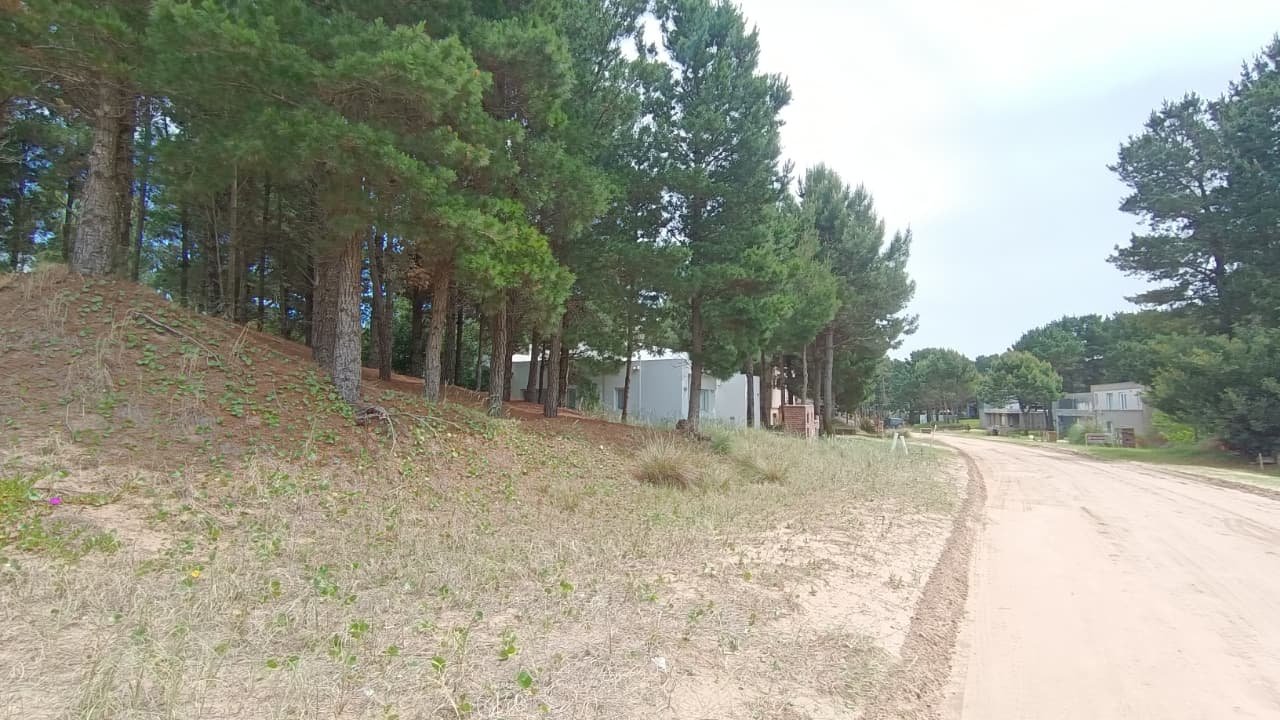 3 de 10