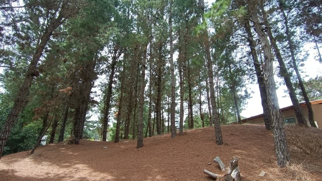 4 de 10