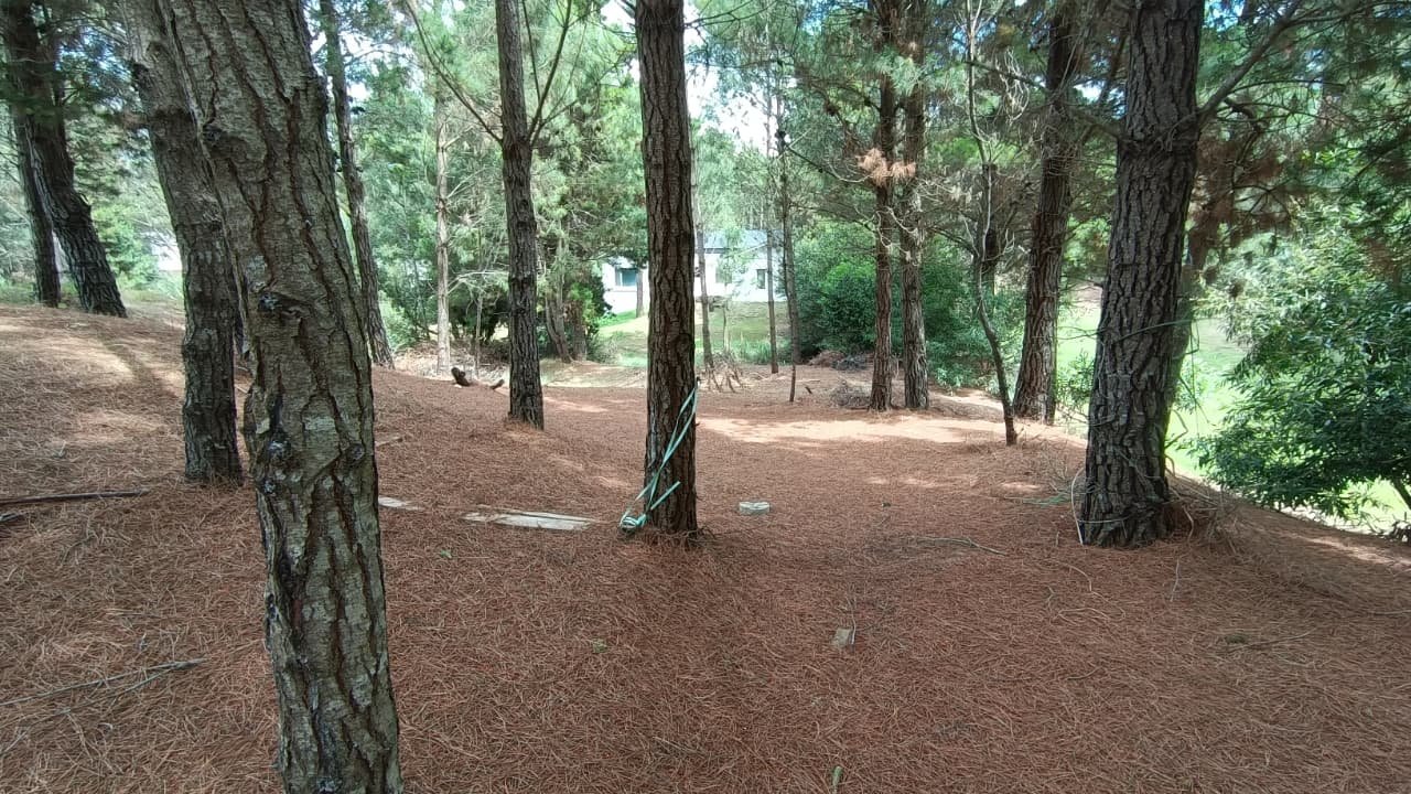 7 de 10