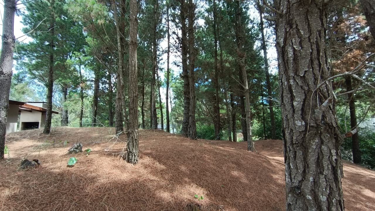 8 de 10