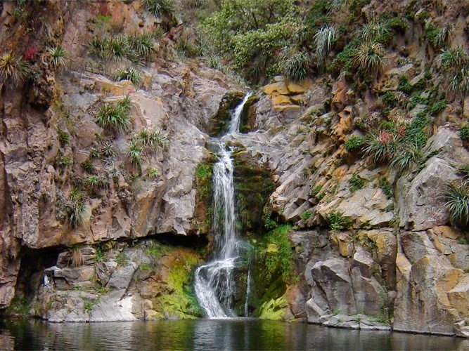 Terrenos - Otra Ciudad - Venta