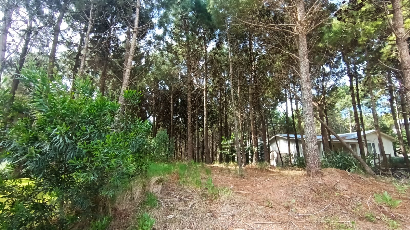 4 de 9