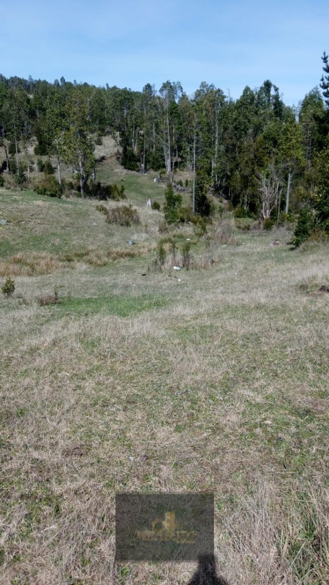 Venta Terreno Carahue - La Araucanía
