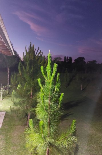 Casas - Iriondo - Venta