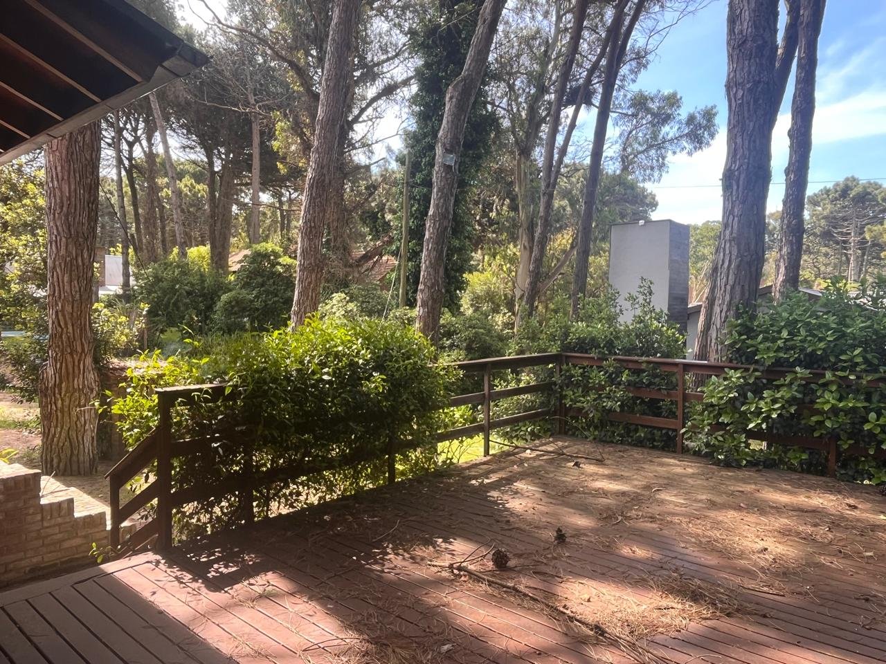 6 de 54