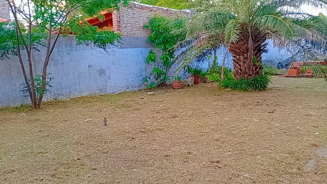 Casa en alquiler planta alta - 15