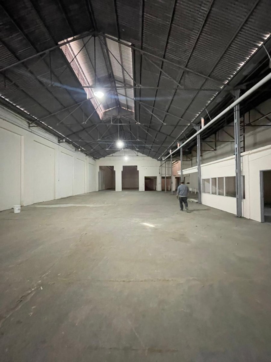 Alem 2943 - Galpón 1.100 m2 — foto 4