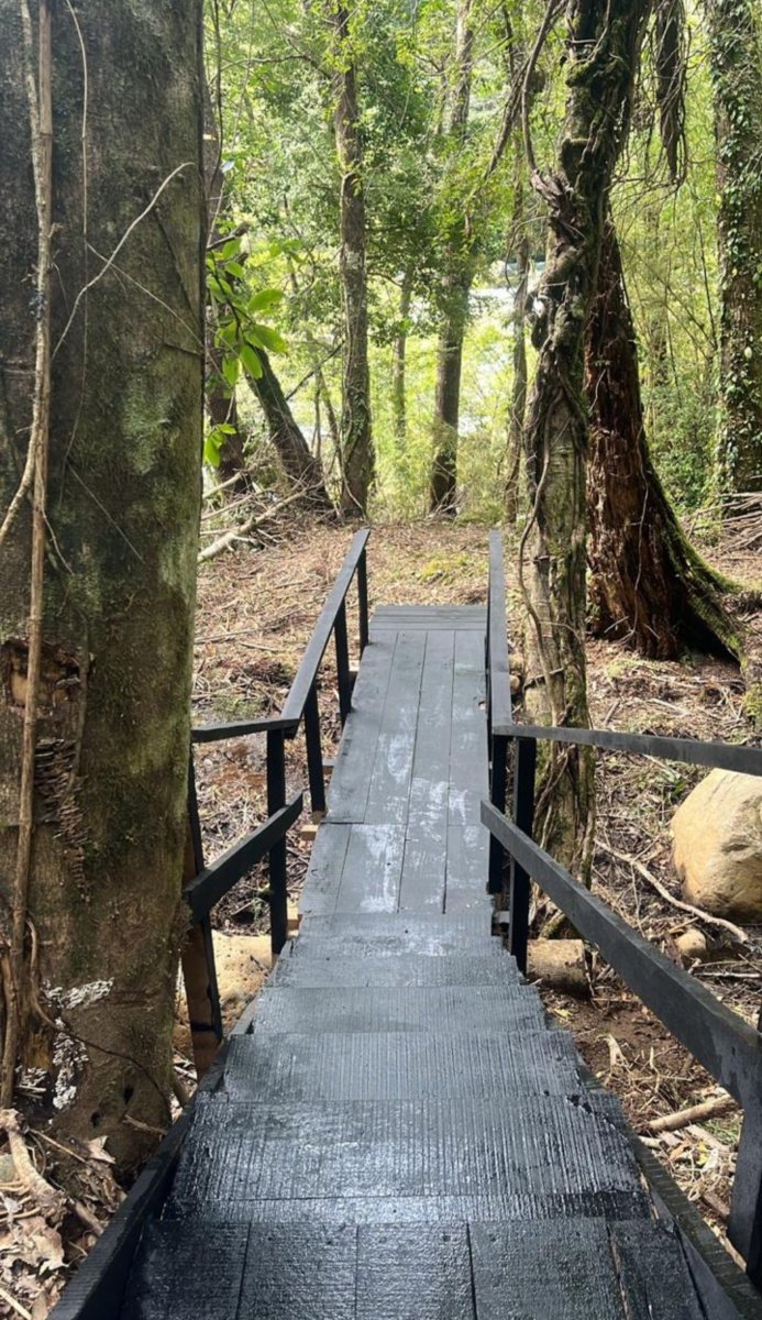 Venta Terreno Curacautín - La Araucanía