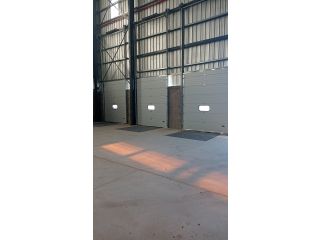 Galpones / Depósitos - Alvear - Alquiler