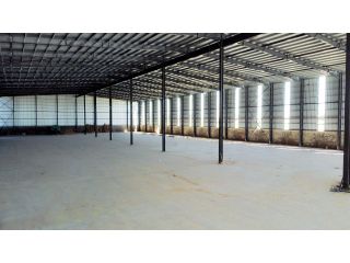 Galpones / Depósitos - Alvear - Alquiler