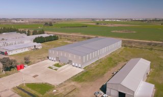 Galpones / Depósitos - Alvear - Alquiler