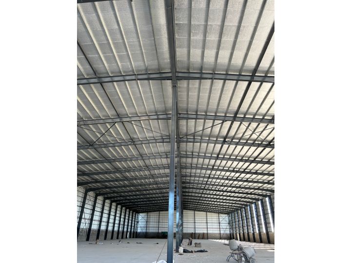 Galpones / Depósitos - Alvear - Alquiler