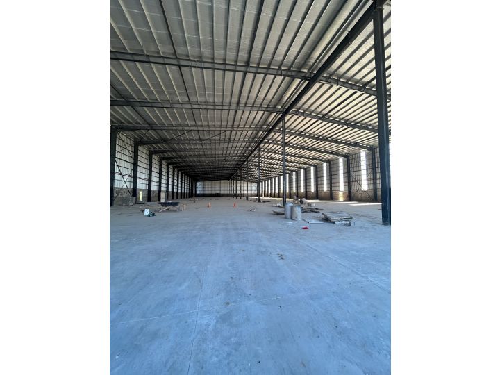 Galpones / Depósitos - Alvear - Alquiler