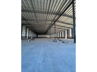 Galpones / Depósitos - Alvear - Alquiler