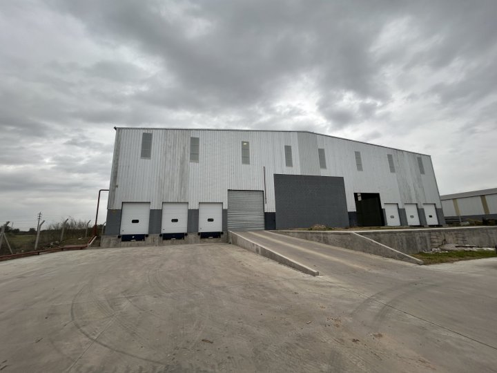 Galpones / Depósitos - Alvear - Alquiler