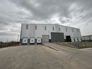 Galpones / Depósitos - Alvear - Alquiler