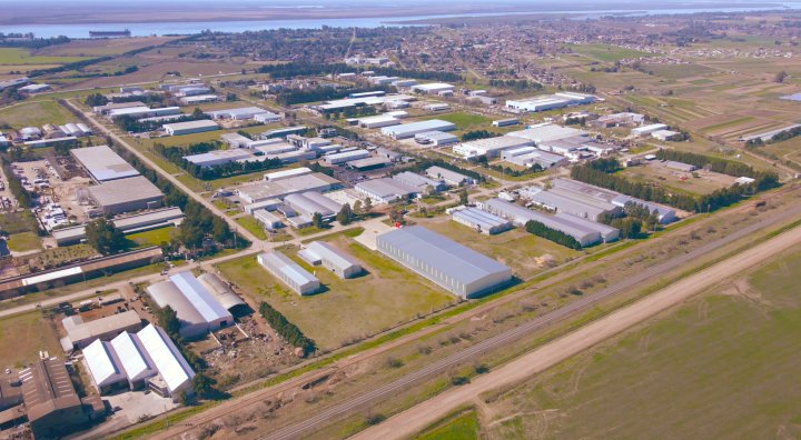 Galpones / Depósitos - Alvear - Alquiler