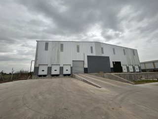 Galpones / Depósitos - Alvear - Alquiler