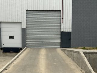 Galpones / Depósitos - Alvear - Alquiler