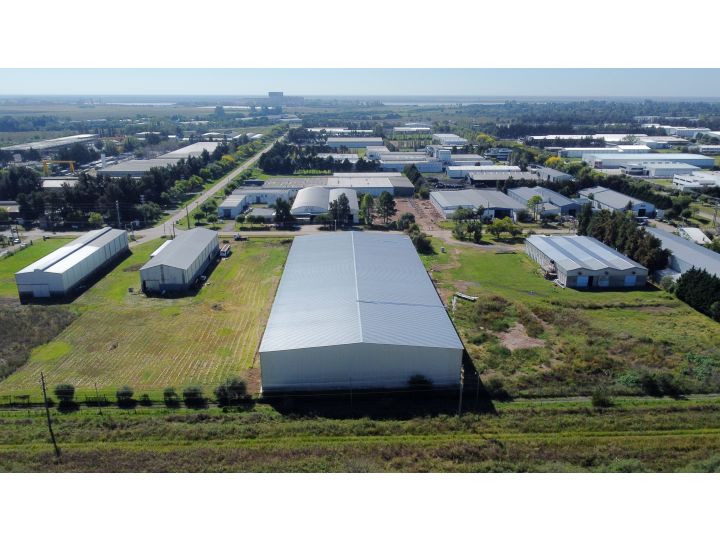 Galpones / Depósitos - Alvear - Alquiler