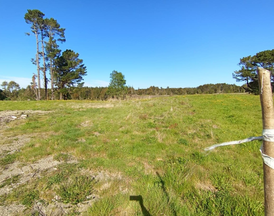 Venta Terreno Ancud - Los Lagos