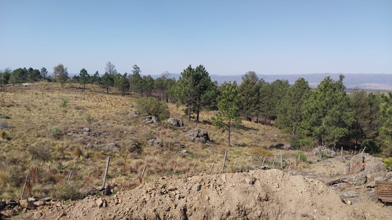 Loma del Tigre - TERRENOS - Imagen 8