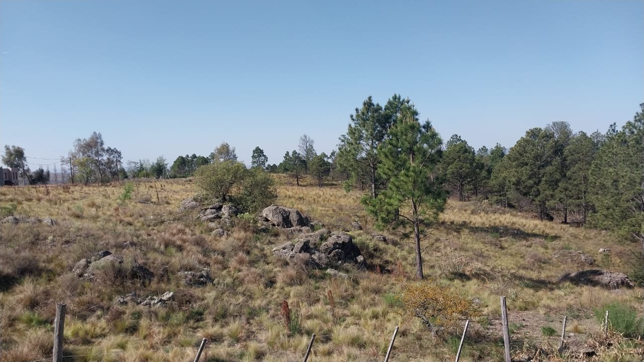 Loma del Tigre - TERRENOS - Imagen 7