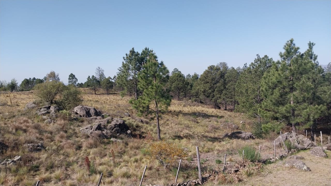 Loma del Tigre - TERRENOS - Imagen 3