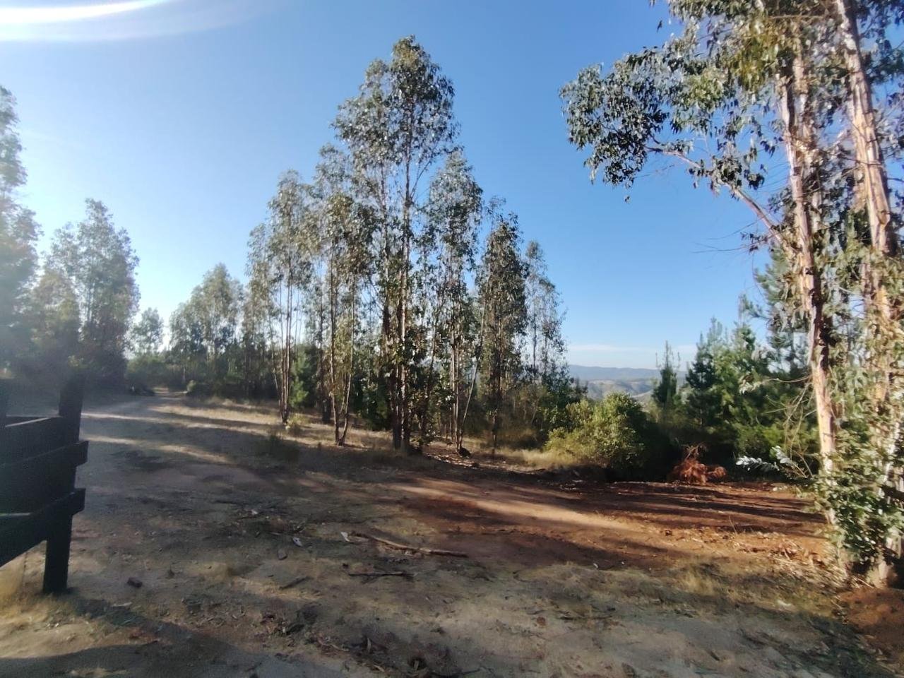 Venta Terreno Paredones - O'Higgins