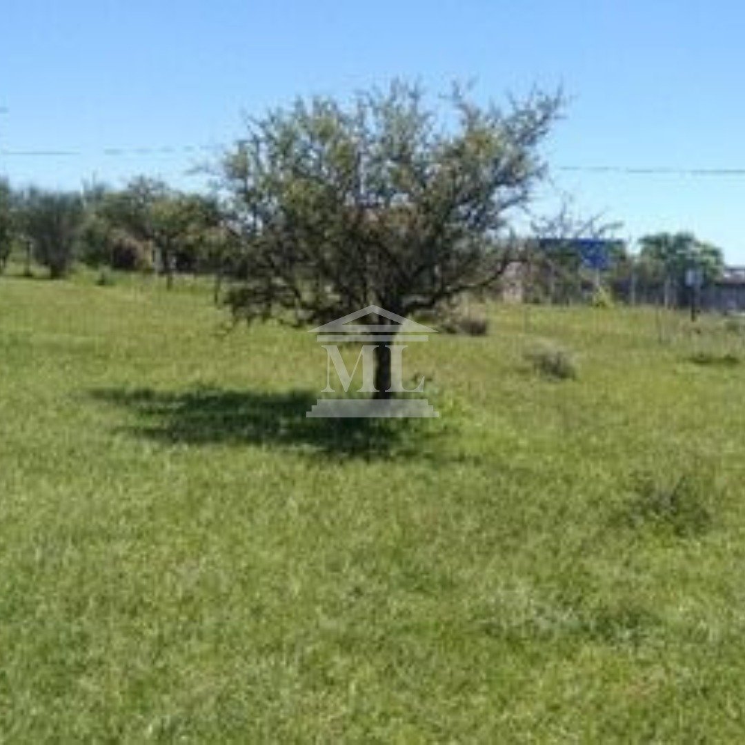 Los Espinillos - TERRENO - Imagen 3