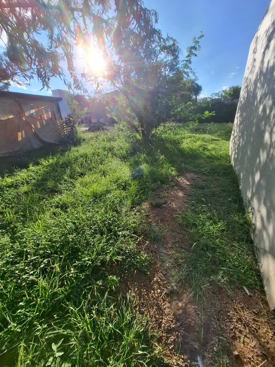 Bela Vista - Imagen 5