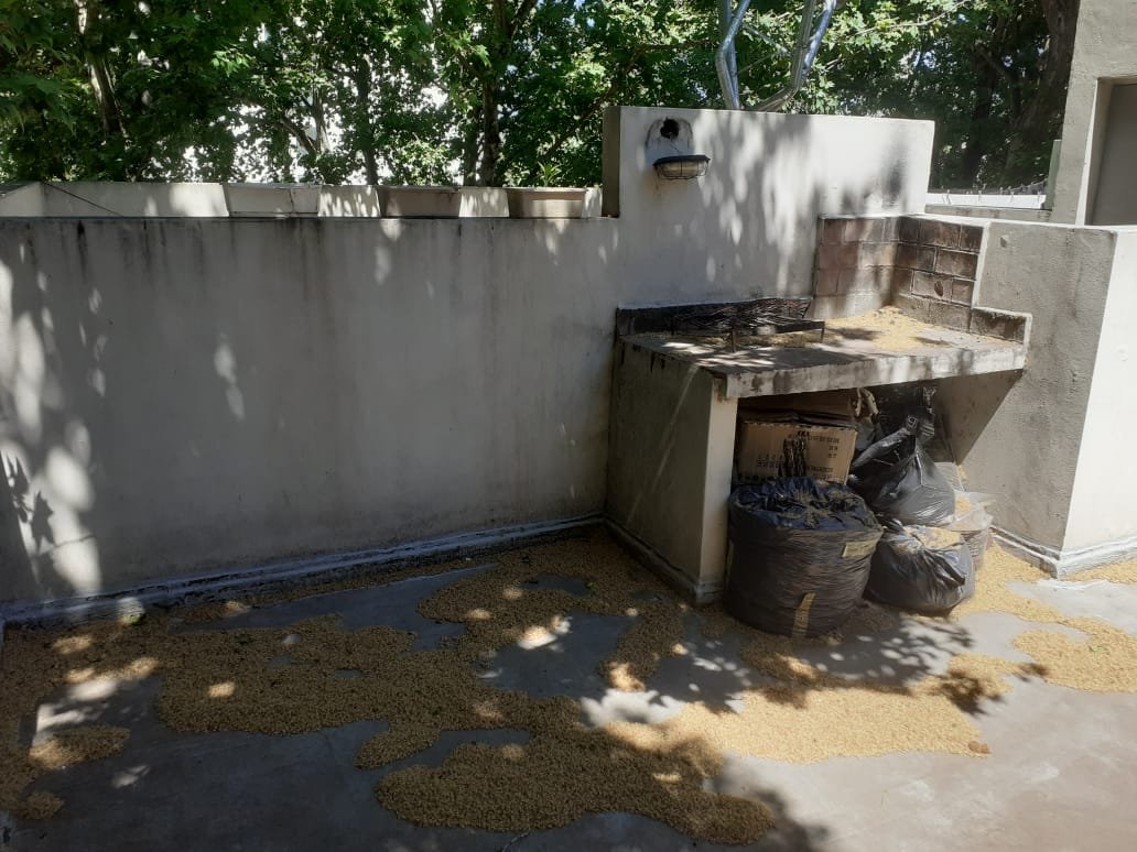 Departamento de 1 dormitorio con balcón al frente y Terraza Exclusiva con parrillero. Zona Medicina. — foto 14