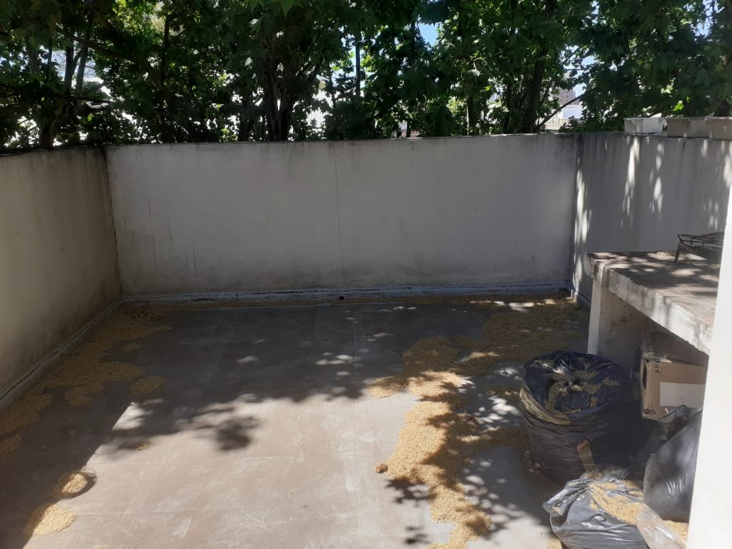 Departamento de 1 dormitorio con balcón al frente y Terraza Exclusiva con parrillero. Zona Medicina. — foto 13