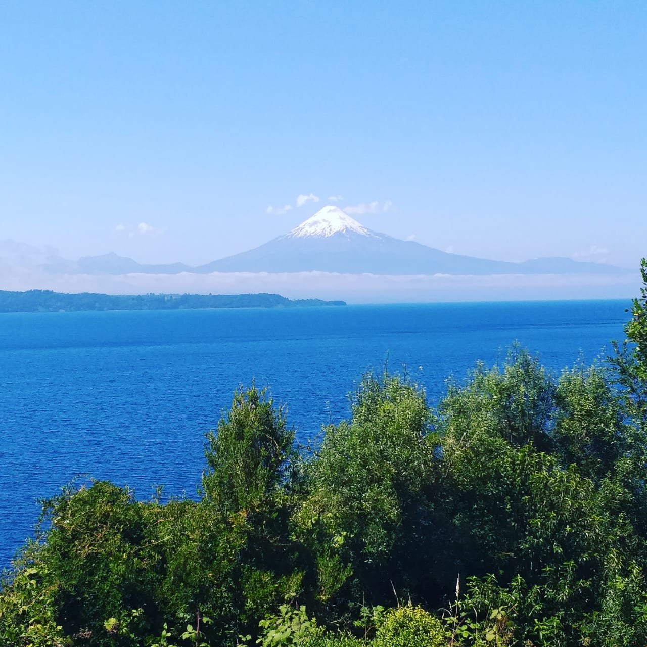 Venta Terreno Puerto Octay - Los Lagos