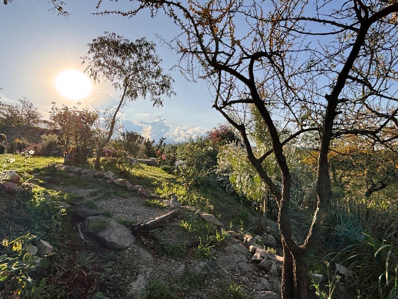 Vista entorno