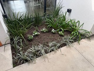 Casas - Funes - Venta