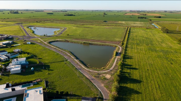 Terrenos - Ibarlucea - Venta