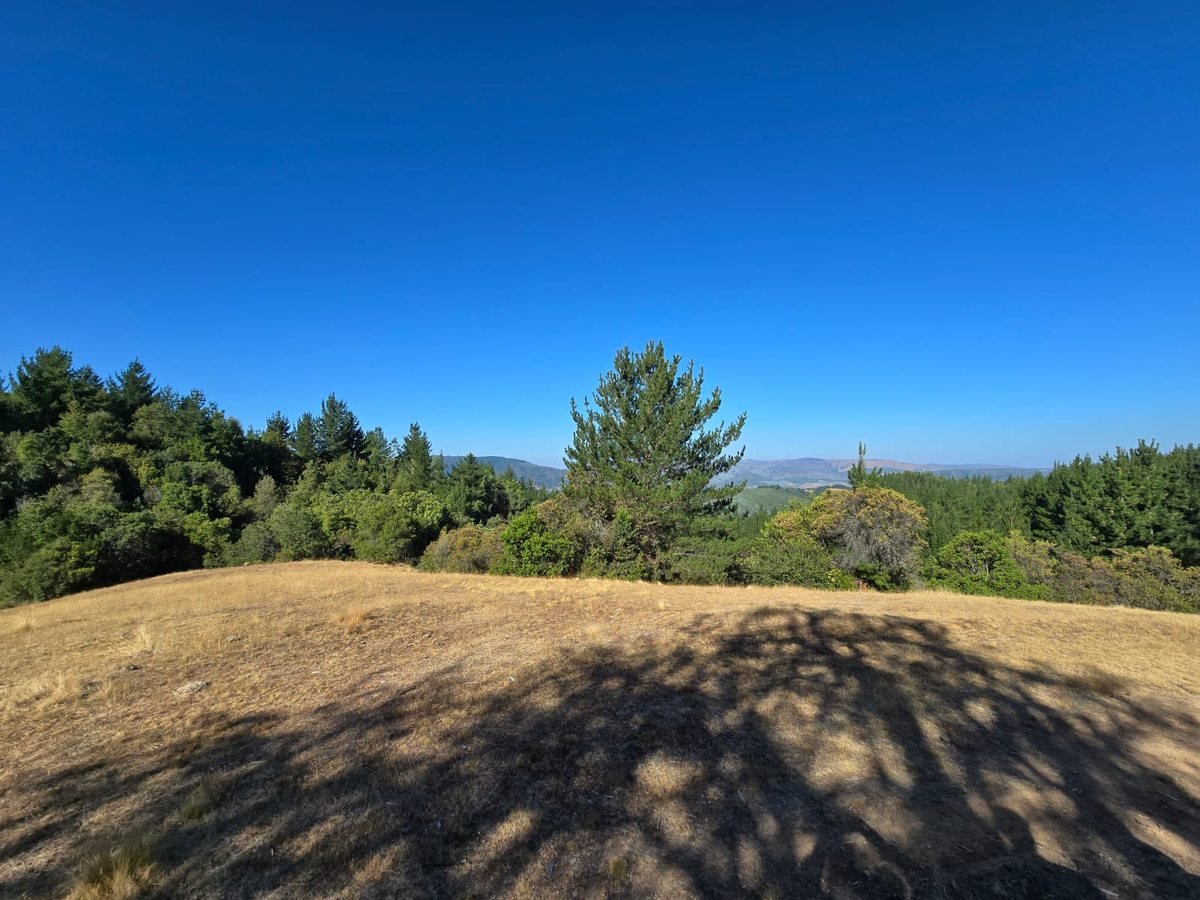 Venta Terreno Nacimiento - Biobío