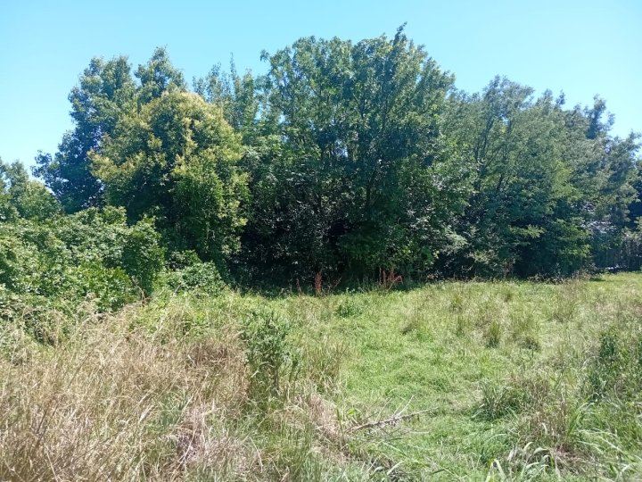 Terrenos - Funes - Venta