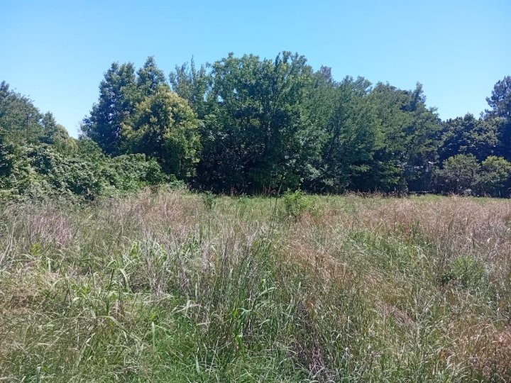 Terrenos - Funes - Venta