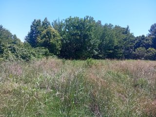 Terrenos - Funes - Venta