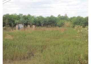 Campos - Otra Ciudad - Venta